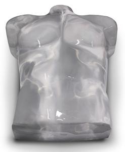 JOE FIT TORSO